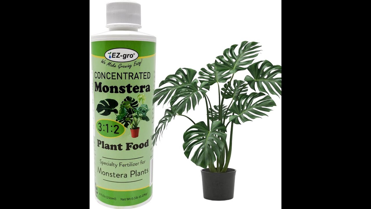 EZgro Monstera Plant Fertilizer Specialty Fertilizer for Monstera