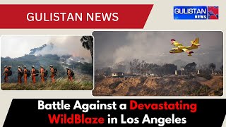 Devastating Los Angeles Blaze Forces Mive Evacuations And Heroic Helicopter Rescues