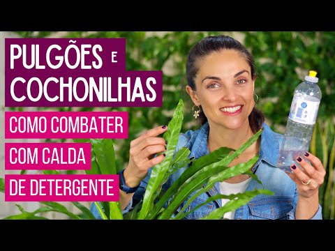 CALDA de DETERGENTE