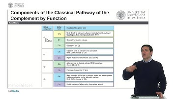 El Sistema del Complemento. La Vía Clásica. Componentes |  | UPV