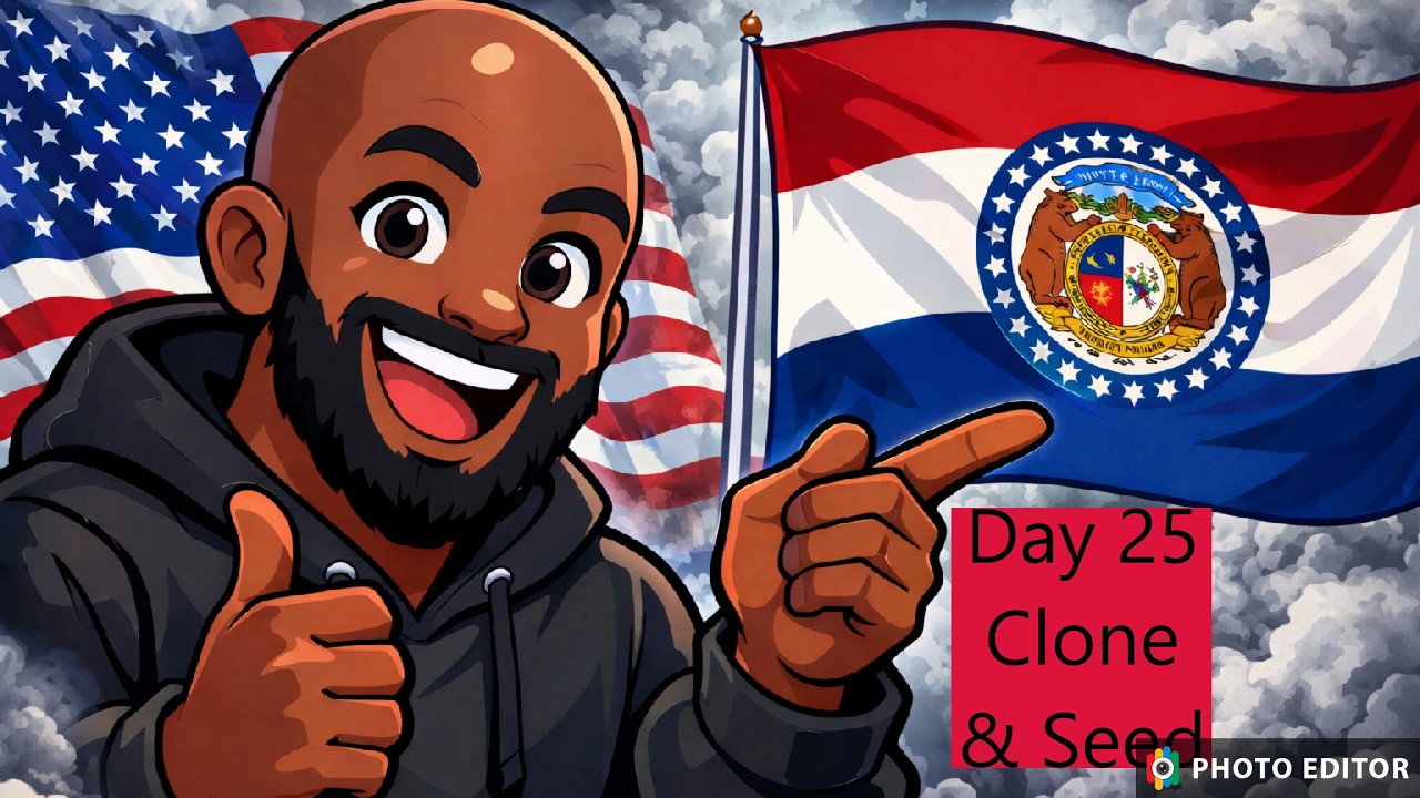 Day 25 Clones & Seedlings | Watch Them Explode With Growth