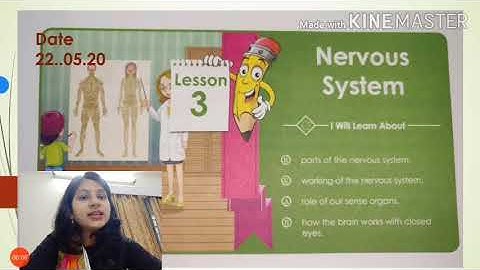 Intro# Nervous system# cl5A-22 .05.20@SFS Narengi