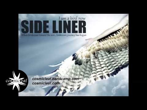 Side Liner — Sensorica - Spherical Pi (Side Liner Remix) // Cosmicleaf.com