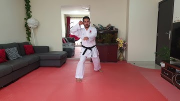 Syllabus for 5th KYU Technique No  4