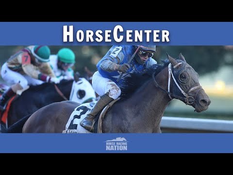 Preakness Stakes And Black-Eyed Susan Top Picks On Horsecenter