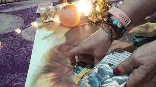 Pesti 1-8 ! Februarie 2026!