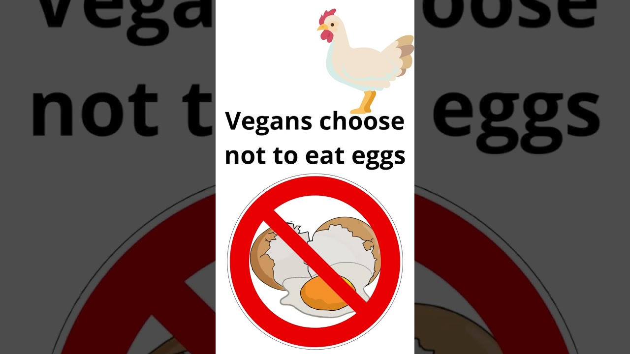 FLAX EGGS. How and Why.