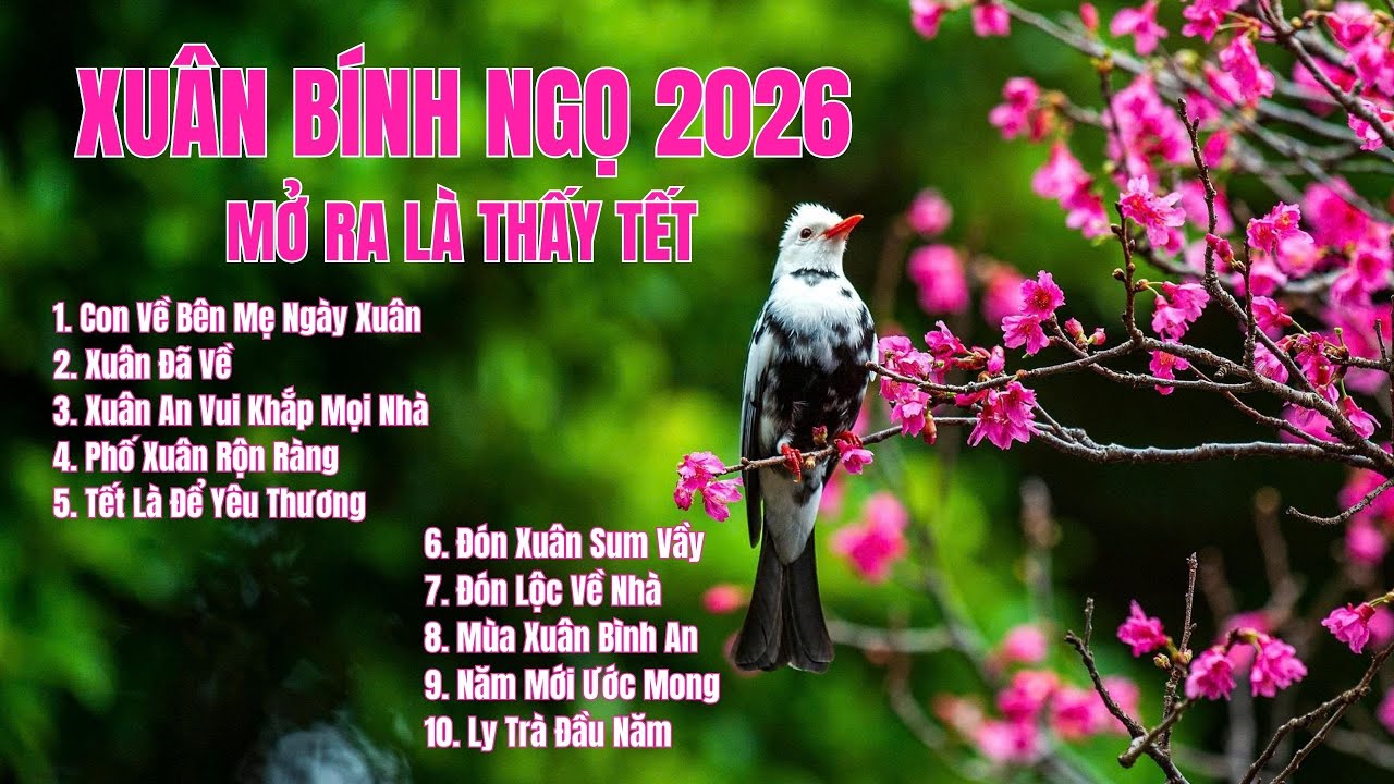 TẾT BÍNH NGỌ 2026 🌸 | Album Nhạc Tết Hay Nhất | 10 Ca Khúc Xuân An Vui – Sum Vầy – Bình An