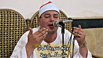الشيخ محمود القزاز 🎙️ روائع سورة لقمان ✅ #ابدااااااع ♥️ طنطا - غربية 🌏 #القزاز_العالمى#الصقر #الترند