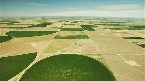 Turning Prairie into Promised Land