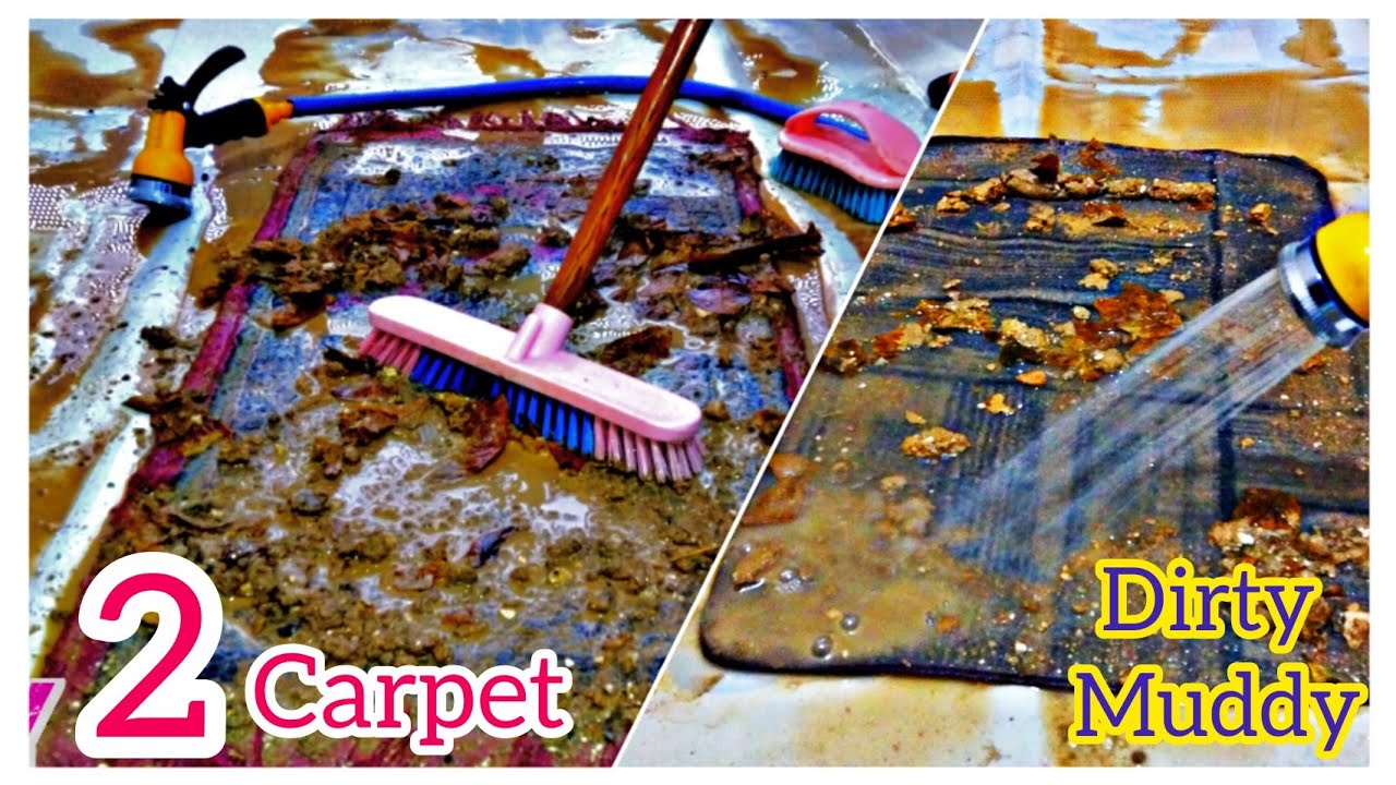 satisfying carpet cleaning Washing two very dirty and muddy carpets is