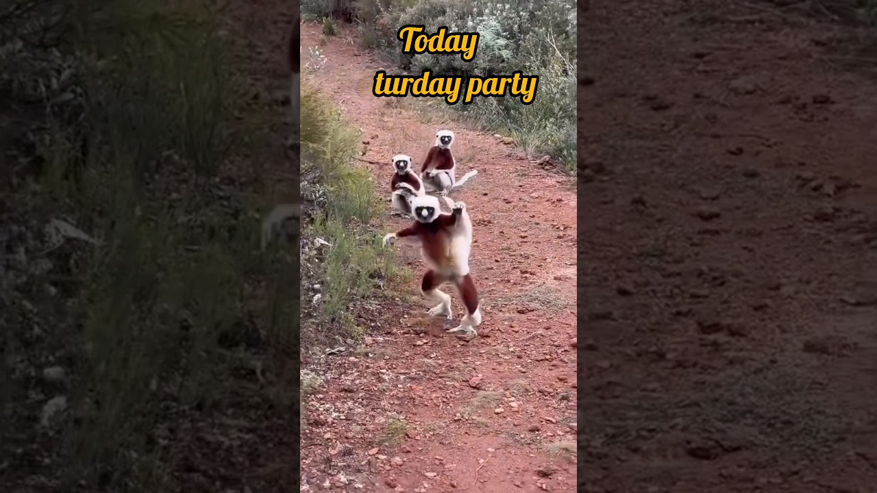 ‎@gkdrishti  ‎@SpreadingGyanOfficial  ‎@sohaibchaudhary 