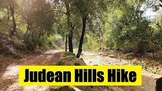 Download Lagu Na de regen: een zeldzame groene wandelroute in de buurt van Jeruzalem MP3