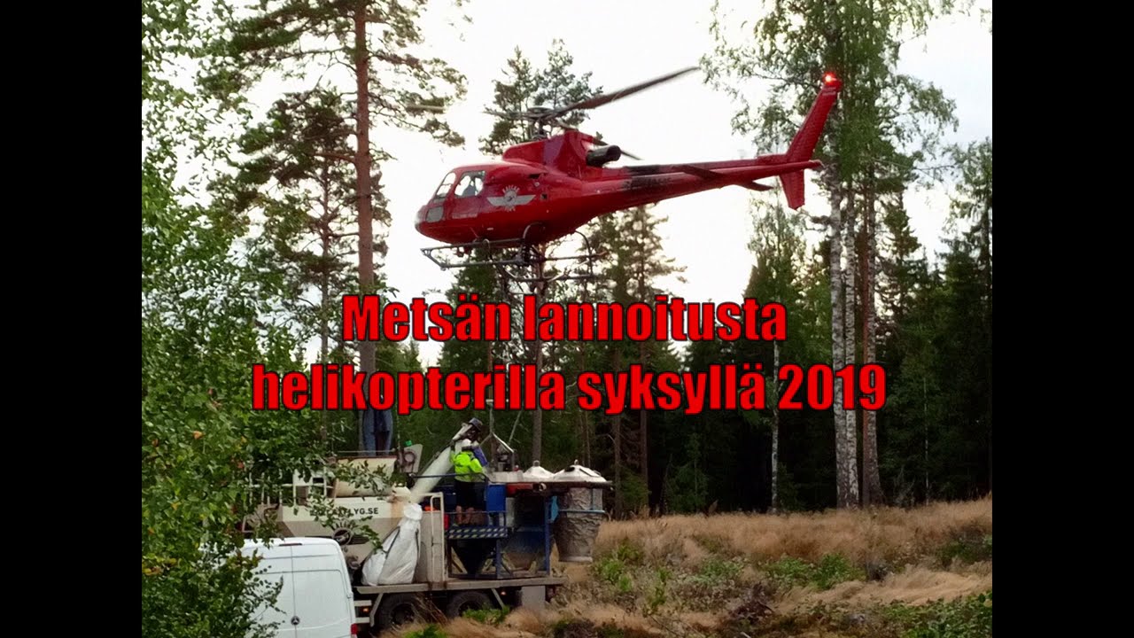 Metsän lannoitus helikopterilla.
