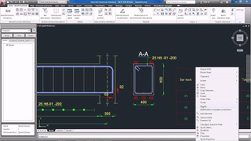 AutoCAD Structural Detailing 2012: Countrification UK