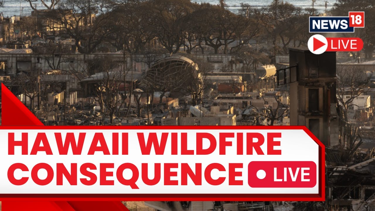 Hawaii Fires LIVE Stream | Maui Wildfire Death Toll Rises To 99 | Maui Fires LIVE | Hawaii Wildlife