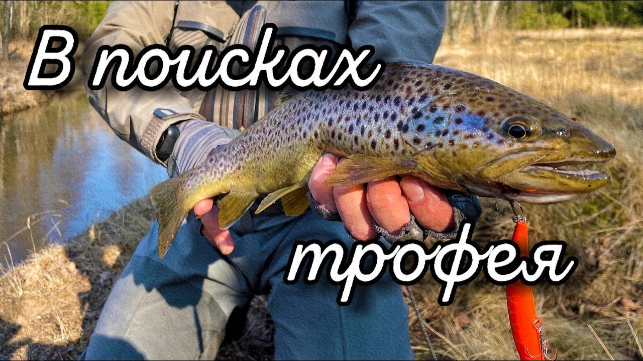 Ловля форели. Применение крупных приманок ранней весной. Трофейная Форель малых рек.