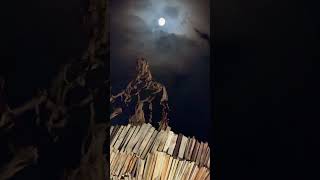 Moon Over the Festival - The Night Sculpture and Coffee Books & Vintage