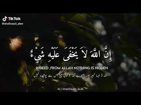 Beautiful Quran Ayat for whatsapp status