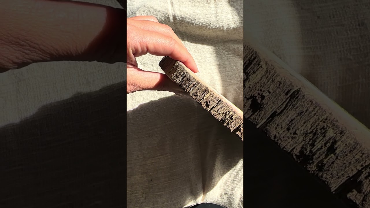 珪化木】ペトリファイドウッド スラブ インドネシア産 Petrified wood