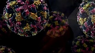 What's Going Around? Norovirus cases are up in several states across the US
