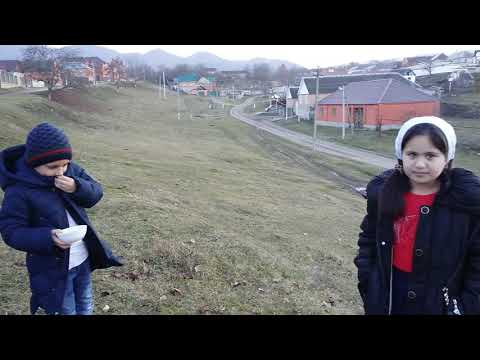 Нохчийн къоман хаза