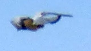 Ufo Sightings Crazy Ufo Egypt Starship Super Close Up 12152014