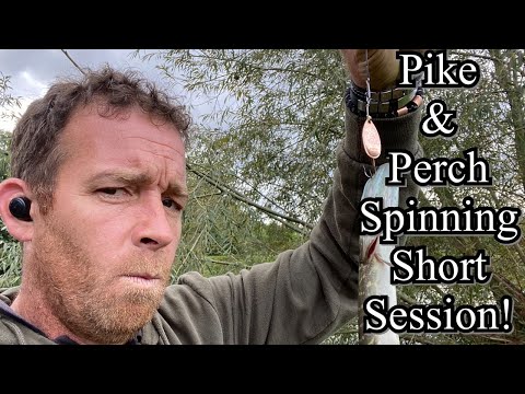 Video: How To Spin A Pike Perch