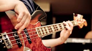Lindemann - Blut (bass solo)
