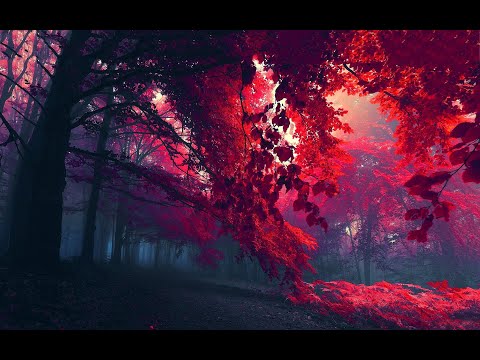 LIVE [21:30-00:00]