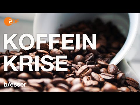 Video: 7 Schreckliche Tage Ohne Kaffee: Ein Anti-Angst-Experiment Nach W