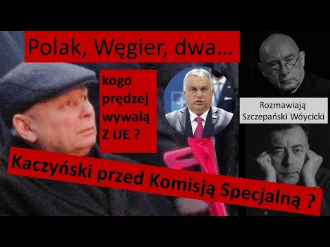                     Lex Tusk / Czego boi się Kaczyński? /  Jak PiS powiązany jest z Moskwą?
                              