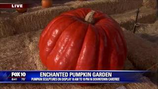 Carefree Enchanted Pumpkin Garden