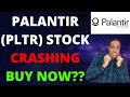 Palantir PLTR Stock Crashed - Is It A Good Buy Now??