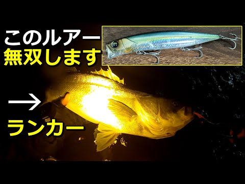ハーデス127Fで初冬のシーバス狙ったら大型連発した - YouTube