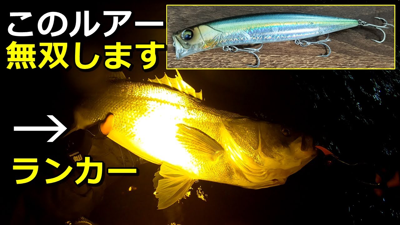 ハーデス127Fで初冬のシーバス狙ったら大型連発した - YouTube