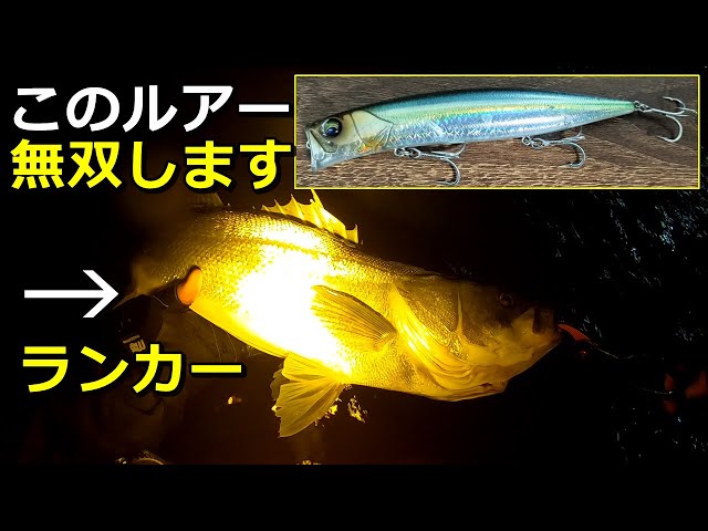 ハーデス127Fで初冬のシーバス狙ったら大型連発した - YouTube