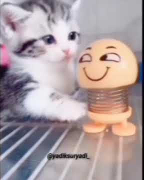 STORY WA - DJ ANGKLUNG TIKTOK 2020 (SANTUY)