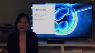 Comm 1103 Presentation