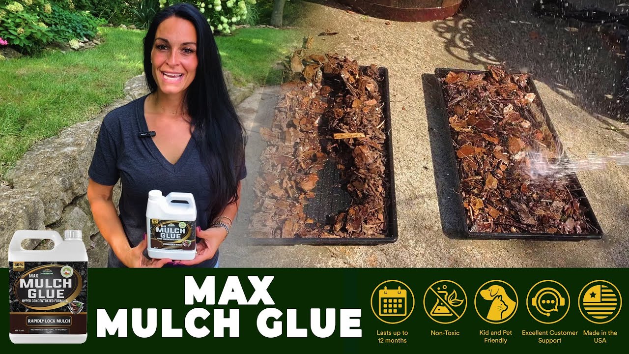 Applying Super Max Mulch Glue to Pebbles! #shorts 