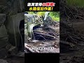 涵洞清掃の現場! 水路復旧作業! #ショベルカー #土木工事 #重機 #清掃作業 #インフラ