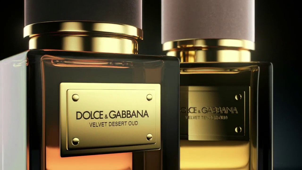 dolce & gabbana velvet cypress