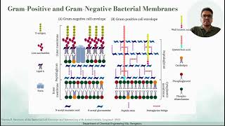 MD Simulation Study of Antimicrobial Peptides Against Drug-Resistant Bacteria, PhD Research Proposal