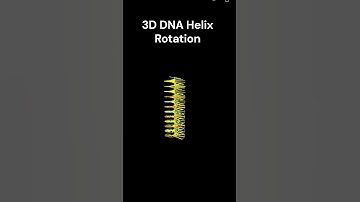 3D DNA Helix Rotation Animation #pythonforbeginners #pythonprogramming #powerofpython #ai