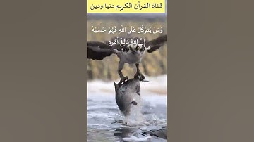 آيات عطرة من سورة الطلاق بصوت يملأه الخشوع