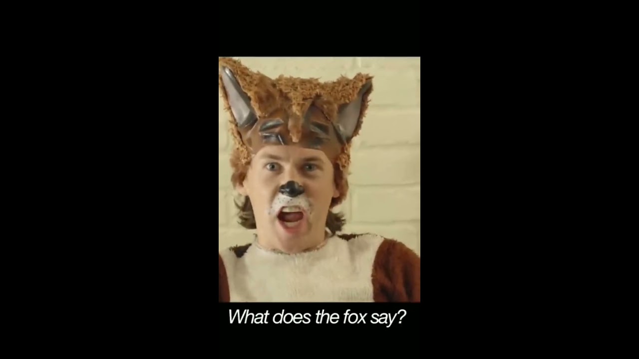 What Does The Fox Say 