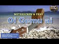 Oi gemu ai  metere crew  vkay png music