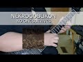 Nekrogoblikon - No One Survives (Guitar Cover)