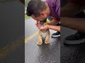 The Most Adorable Tiger Cub Ever Seen #viral #trending #short