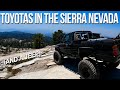 Toyota 4X4 Rock Crawling in the Sierras | Pickup, 4Runner, Tacoma & Jeep Rubicon Off Road Adventure